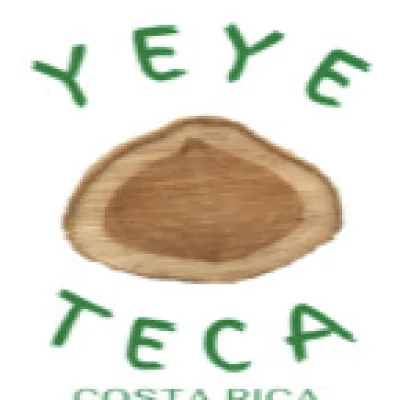 Logo de NIKI YEYE S.A